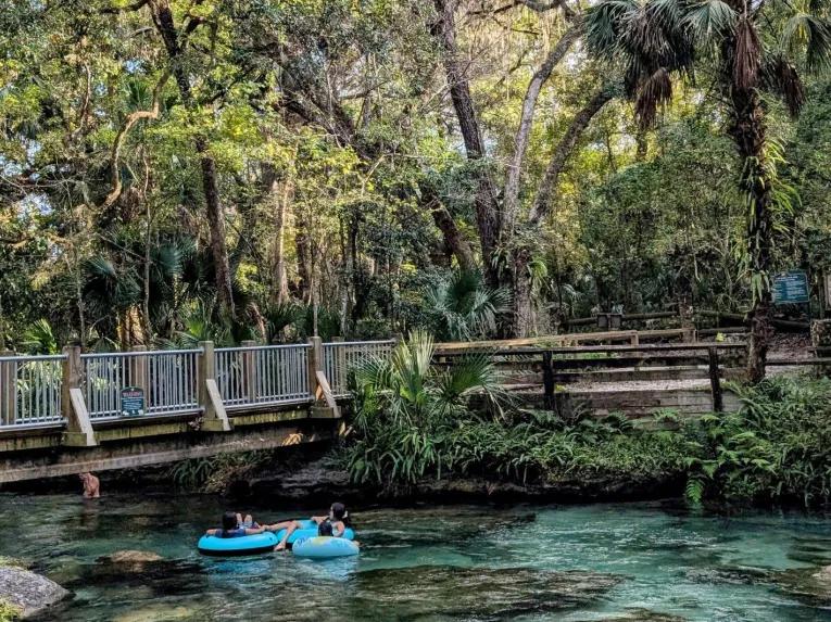 People floating on blue inner tubes under a wooden footbridge at a natural spring on the Rock Springs River Tubing & Apopka Wildlife Adventure tour.
