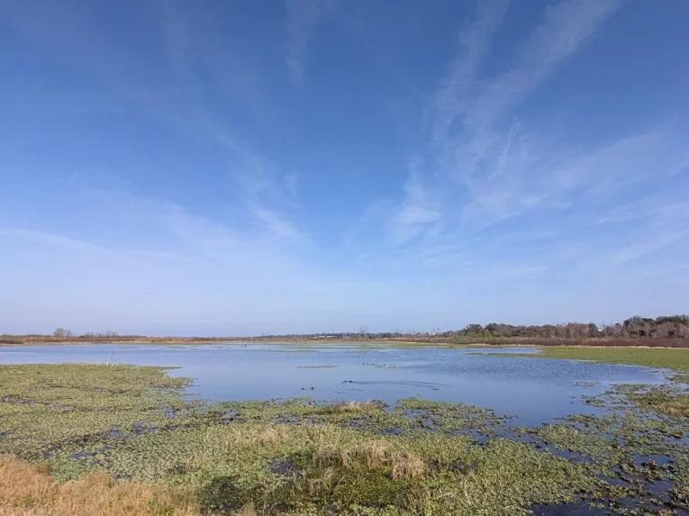 Wide scenic view of a Florida wetland and marsh landscape under a blue sky on the Rock Springs River Tubing & Apopka Wildlife Adventure tour.