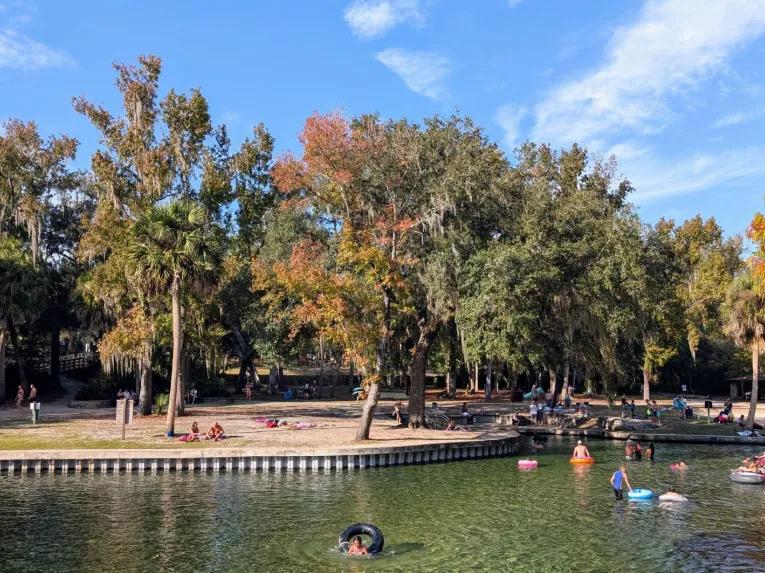People swimming and floating on inner tubes in a scenic natural spring during the Rock Springs River Tubing & Apopka Wildlife Adventure tour.