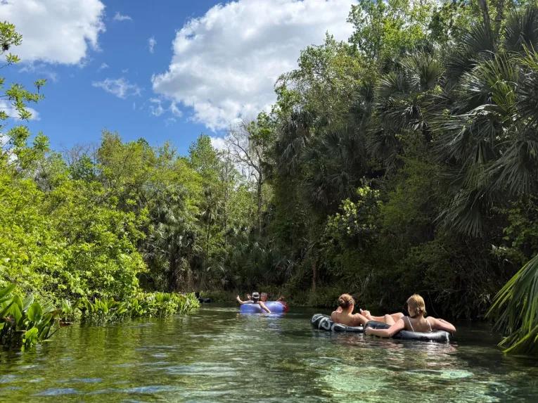 People floating down a clear, tropical river on a Rock Springs River Tubing & Apopka Wildlife Adventure tour.