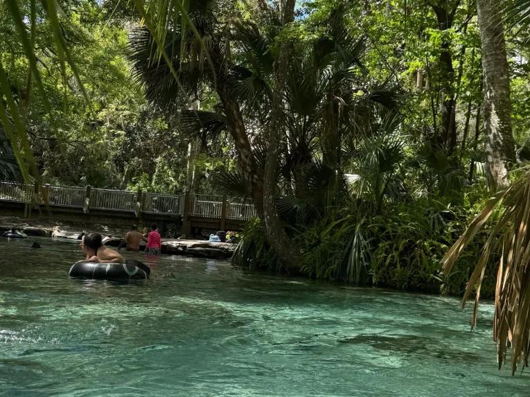 A close-up view of people floating on inner tubes in clear, turquoise spring water surrounded by palm trees on a Rock Springs River Tubing & Apopka Wildlife Adventure tour.