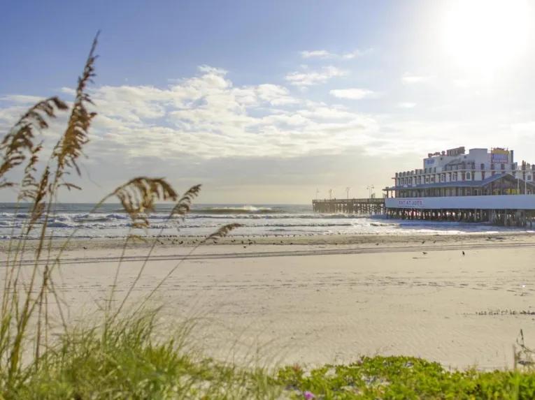 Sunny view of the Daytona Beach Pier and ocean framed by sea oats on the sand.