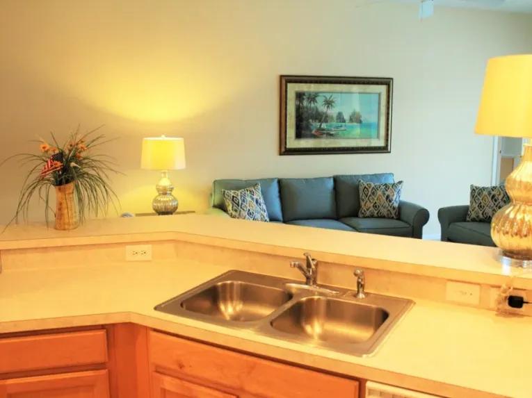 High Grove (4732) 4-bedroom Villa in Clermont